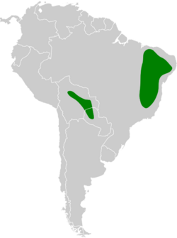 Nothura boraquira map.svg