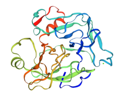 P04971 homology model thrombin-like enzyme batroxobin.png