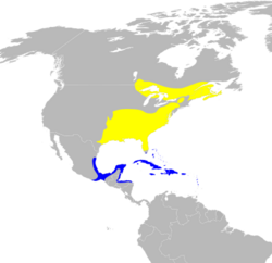 Parula americana map.svg