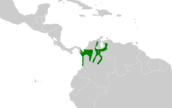 Pyrilia pyrilia map.svg
