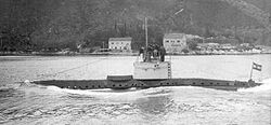 SM U-10 (Austria-Hungary).jpg