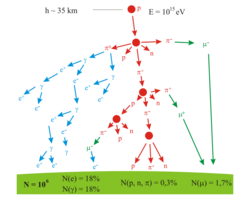 A branching tree representing the particle production