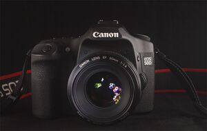 Canon EOS 50D 20101017.jpg