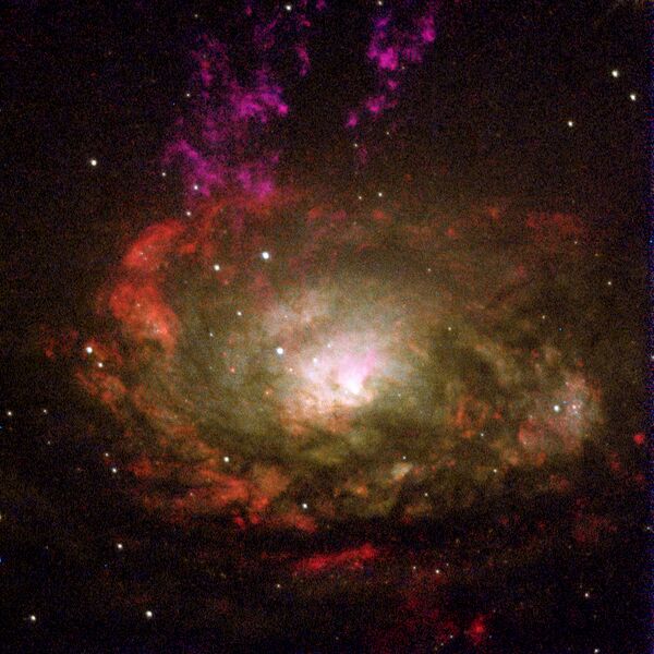 File:Circinus.galaxy.750pix.jpg