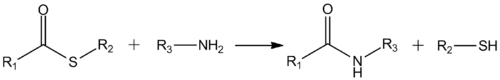 Formation of amides from thioesters