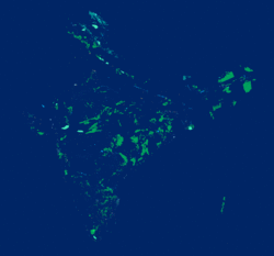 India OpenStreetMap data loading in QGIS.gif