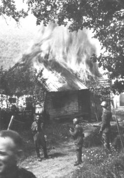 Italians burning villages in Croatia.jpg
