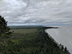 Looking South from Tow Hill, Haida Gwaii.jpg