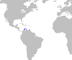 Mustelus minicanis distmap.png