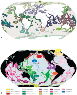 Numbers of marine Isopoda (except Asellota and crustacean symbionts) in biogeographic regions.png