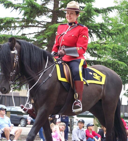 File:RCMP officer on a horse.JPG