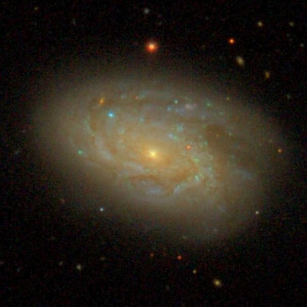 File:SDSS NGC 4212.jpg