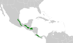 Cyanolyca cucullata map.svg
