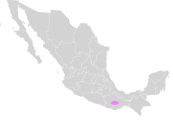 Distribution.Brachyplema schroederi.Mexico.svg