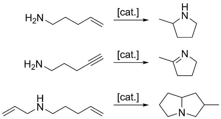 Examples of intramolecular hydroamination.