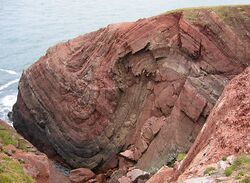Folded Old Red Sandstone at St Annes Head - geograph.org.uk - 629204.jpg