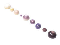 A collection of quahog pearls, ranging in color from white to purple.