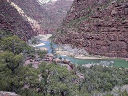 The Green River in Dinosaur National Monument.