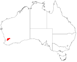 Hakea aculeataDistMap2.png