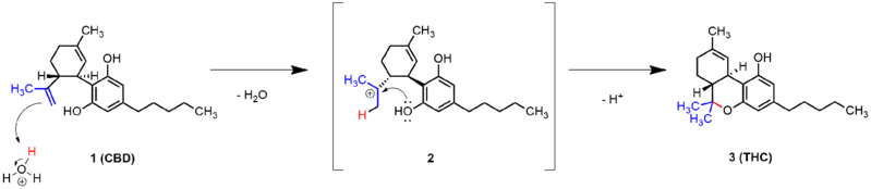 File:Intramolekulare cyklisierung von CBD zu Δ9-THC.png