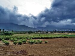 Monsoon clouds near Nagercoil.jpg