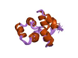 PDB 1ngr EBI.jpg