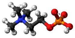 Phosphocholine-zwitterion-3D-balls.png