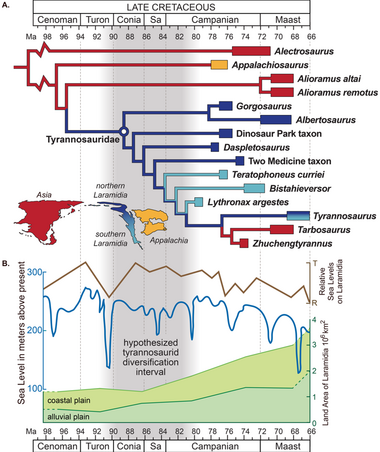 A phylogenetic tree labeled with colors representing continents, with a graph plotting sea level and tyrannosaur diversity against time