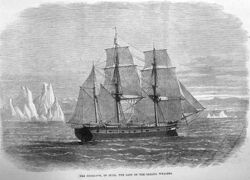The Truelove Whaling Ship from Hull.jpg