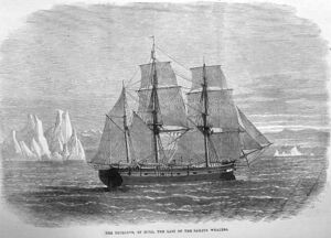 The Truelove Whaling Ship from Hull.jpg
