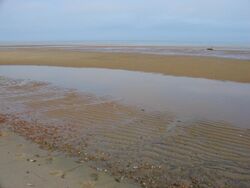 Brewster mudflat.jpg