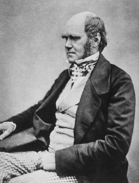 File:Charles Darwin seated crop.jpg