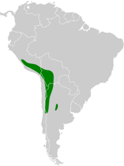 Cinclodes atacamensis map.svg