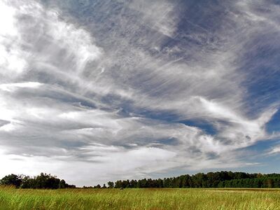 A picture of a bright blue sky with many different types of white cirrus clouds. The clouds are over a grassy field with a line of trees in the distance.