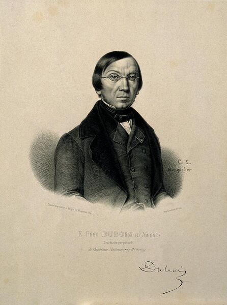 File:E. Frédéric Dubois d'Amiens. Lithograph by C. L. Masquelier, Wellcome V0001681.jpg
