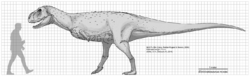 Ekrixinatosaurus novasi scale diagram.png