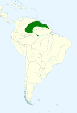 Euphonia plumbea map.svg