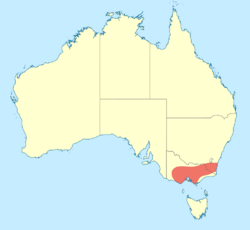 Eusynthemis guttata distribution map.svg