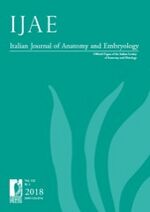 Italian Journal of Anatomy and Embryology.jpg
