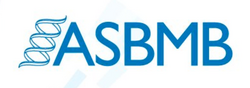 Logo of American Society for Biochemistry and Molecular Biology.png