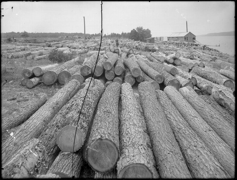 File:Logs at sawmill at Manitoulin Island (I0014072).jpg
