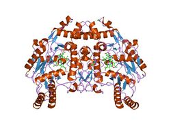 PDB 1dm6 EBI.jpg