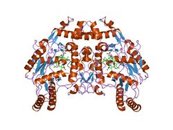 PDB 1dmi EBI.jpg