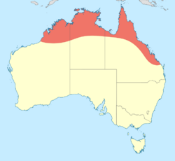 Rhadinosticta banksi distribution map.svg