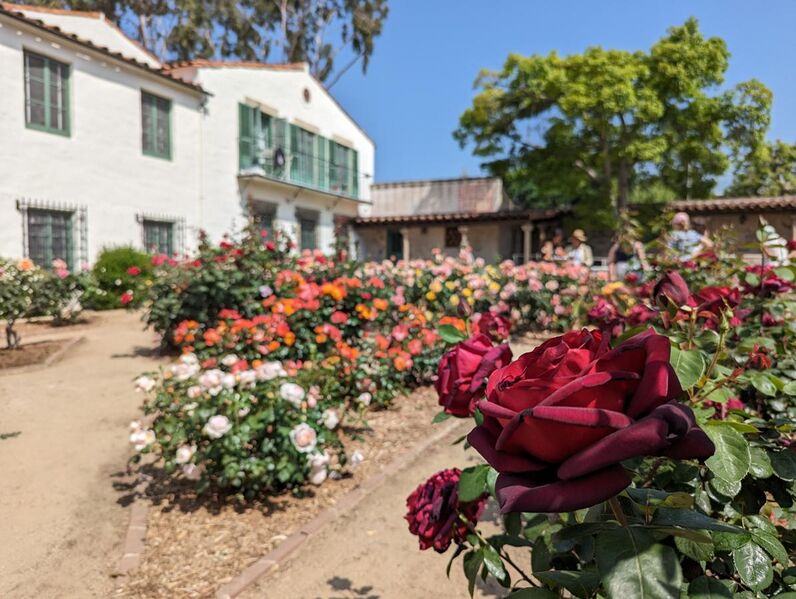 File:Scripps College Rose Garden and Toll Hall.jpg
