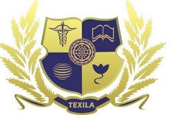 Texila American University Logo.jpg