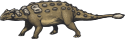 Ankylosaurus magniventris reconstruction nomargin.png