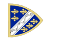 Banner of King Tvrtko I of Bosnia
