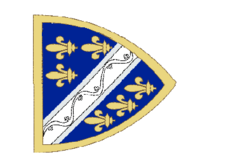 Banner of King Tvrtko I of Bosnia.png