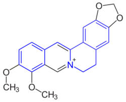 Benzylisoquinoline structure in Berberine.svg
